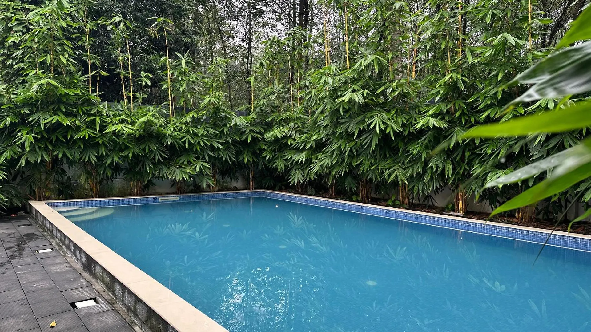 Chakkantharas Pool Villas Athirappilly